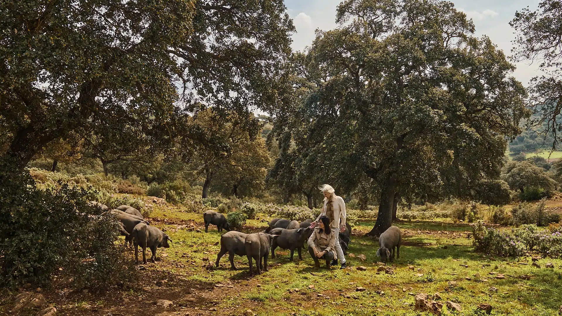 serrania de ronda foto paisaje en familia con los cerdos ibericos